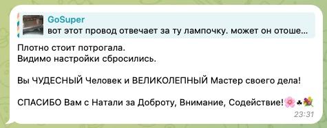 Скриншот отзыва: GoSuper